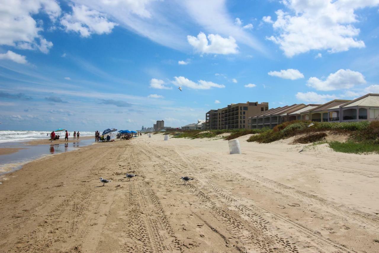 Palm Tree Escape Apartamento South Padre Island Exterior foto