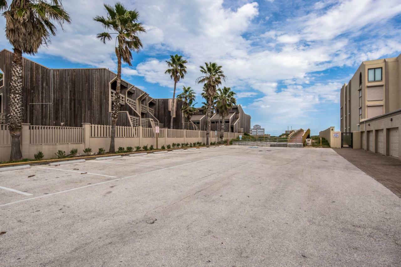 Palm Tree Escape Apartamento South Padre Island Exterior foto